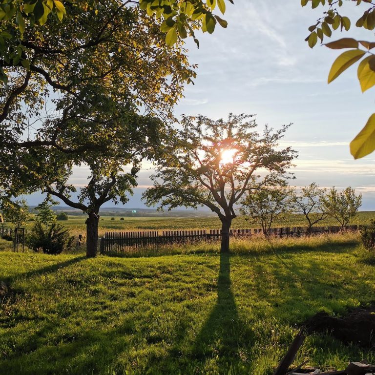 Die Röder, umgeben von üppiger, grüner Vegetation und Bäumen. Die Röder, umgeben von üppiger, grüner Vegetation und Bäumen.